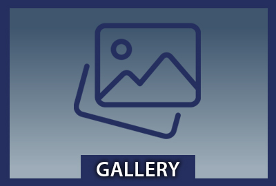 Work Gallery Button